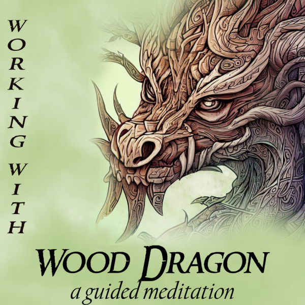 Heart of Glastonbury Wood Dragon meditation
